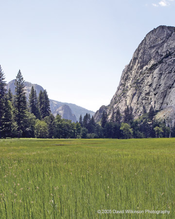 Yosemite021